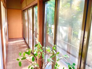 Een tuin van #熱海古民家 #来宮神社 バーベキュー温泉