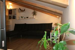 Fotografie z fotogalerie ubytování Olive Charm v destinaci Umag