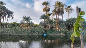 Fotografie z fotogalerie ubytování old Nile rooms v destinaci Luxor