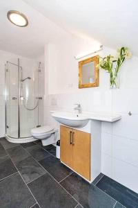 une salle de bain avec un lavabo, une douche et des toilettes dans l'établissement Wohnung-3, à Nebel 8 autres photos