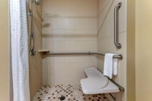 a small bathroom with a toilet and a shower at Comfort Inn & Suites Dover in Dover +53 photos