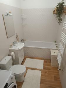 Ένα μπάνιο στο Daniela Apartment Brasov