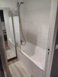 a bathroom with a shower and a tub with a mirror at Maison de ville in Bourbourg