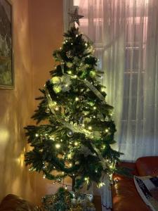 Un árbol de Navidad con luces en una habitación en Roman Stadium Apartments, en Plovdiv