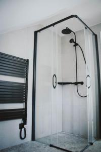 a shower in a bathroom with a glass wall at Apartmán Kukučínova in Banská Bystrica +13 photos