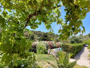 Vonkajšia záhrada v ubytovaní Mas Chamarel à Sanary-sur-Mer au milieu des vignes et oliviers