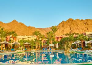 a resort with a pool with palm trees and mountains at Tropitel Dahab Oasis in Dahab