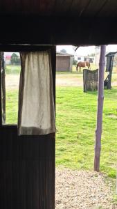 a view of a horse in a field with a barn at Tiny House in Cabo Polonio