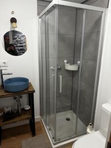a shower with a glass door in a bathroom at Lagar de Guxeva in Chantada