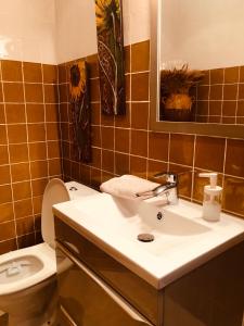 a bathroom with a sink and a toilet at Au bout du pré in Pézenas +70 photos