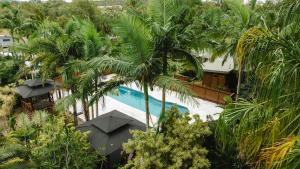 阿格奈什沃特1770 Getaway Villas的享有带游泳池和棕榈树的度假村的顶部景致