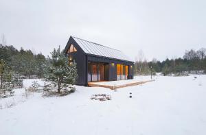 a black house in a snowy field with trees at Forestic Lietuva in Vilionys
