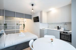 Η κουζίνα ή μικρή κουζίνα στο Springview Studio +10 φωτογραφίες