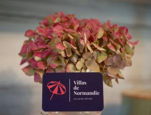 a vase with a plant with a sign on it at Le Cottage in Bordeaux-Saint-Clair