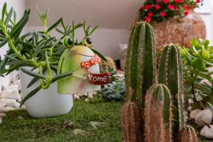 a figurine of a frog standing next to a cactus at El Nogal Home in Málaga