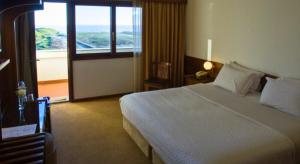 Cama ou camas em um quarto em Hotel Santo Andre