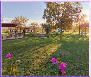 a park with pink flowers in the grass at Cabañas El Encuentro in Parras de la Fuente