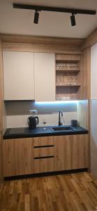 a kitchen with a sink and a counter at Apartman A2-3 u Apart hotel Vučko in Jahorina +6 photos