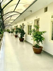 Fotografie z fotogalerie ubytování Khách sạn Bảo Lộc Garden v destinaci Bao Loc