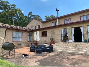 un chat noir et blanc debout devant un bâtiment dans l'établissement Mvemve Lodge at GrootPoort, à Memel