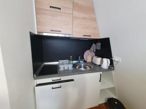 a small kitchen with a sink and wooden cabinets at Apartment Dalia with a great view in Bjelašnica +21 photos