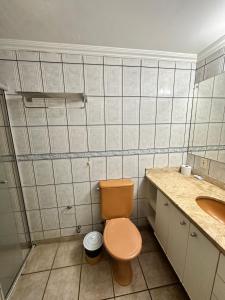 a bathroom with a toilet and a sink at Flat Vintage in Ribeirão Preto