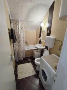 Koupelna v ubytování Apartman Nataly 2