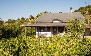 Agnes Cottage House في كونيتسا: منزل بسقف رمادي في حقل من الغابات