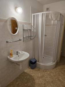 Koupelna v ubytování Hotel a Penzion PEGAS