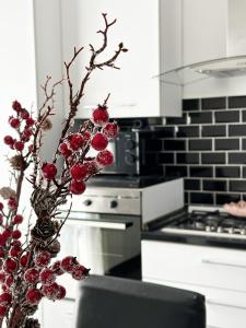 Kuchyň nebo kuchyňský kout v ubytování Family Place Fiumicino