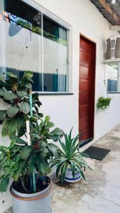 two potted plants in front of a house at Aconchego in Pôrto Santana