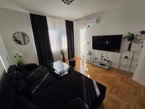 Μια τηλεόραση ή/και κέντρο ψυχαγωγίας στο Apartman Mirjana