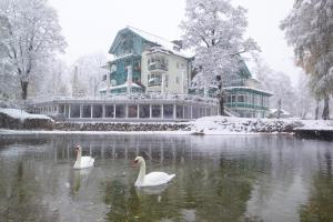 Obiekt Seevilla Altaussee zimą