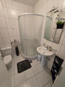 Ένα μπάνιο στο Apartman Mirjana +8 φωτογραφίες
