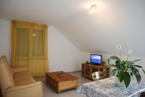 a living room with a couch and a table and a tv at Dream Home in Renningen