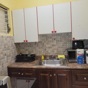 a kitchen counter with a sink and a microwave at The Breamar Suite classic in Kingston