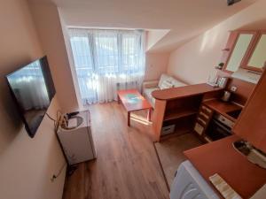 TV a/nebo společenská místnost v ubytování Snow Lodge Apartment With Mountain View