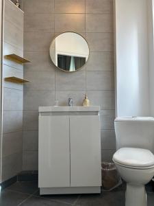 a bathroom with a white toilet and a mirror at Les Hortensias in Épernay