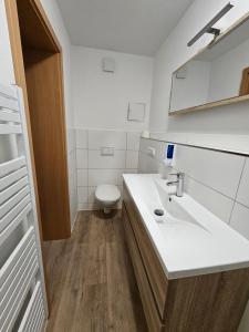 Ένα μπάνιο στο Ferienwohnung Vogtland +10 φωτογραφίες