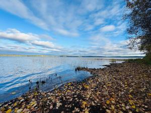 a large body of water with trees and rocks at Lake Norva Lodge in Saarenkylä