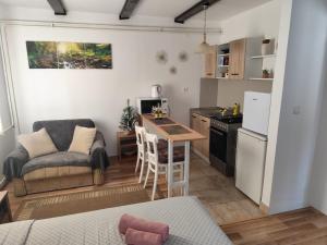 Kuchyňa alebo kuchynka v ubytovaní Plitvice Glock Apartment