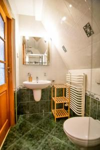 a bathroom with a sink and a toilet at Willa Krokus in Zakopane +110 photos