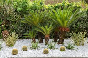 A garden outside Hotel I Gigli