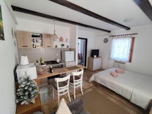 Kuchyňa alebo kuchynka v ubytovaní Plitvice Glock Apartment