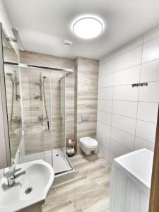 a bathroom with a shower and a sink and a toilet at Czarno biały in Racibórz