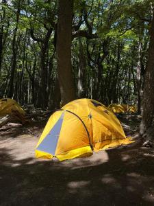 a yellow tent sitting in the middle of a forest at FITZ CAMP - Glamping agreste - Base Cerro Fitz Roy in El Chalten