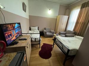 TV a/nebo společenská místnost v ubytování ALEM Hotel