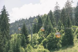 Táj az apartman közelében