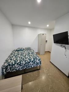 sypialnia z łóżkiem i telewizorem z płaskim ekranem w obiekcie Studio indépendant et bien équipé avec véranda commune w mieście Neuilly-sur-Marne