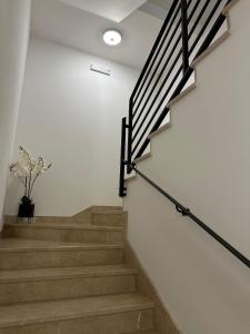 Fotografia z galérie ubytovania Apartmani Vice v destinácii Brela